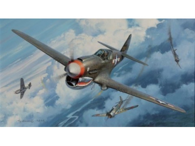 P-40 WARHAWK URBANOWICZ CHINY 1943 FLYING TIGERS - EASY MODEL 39313 1/48